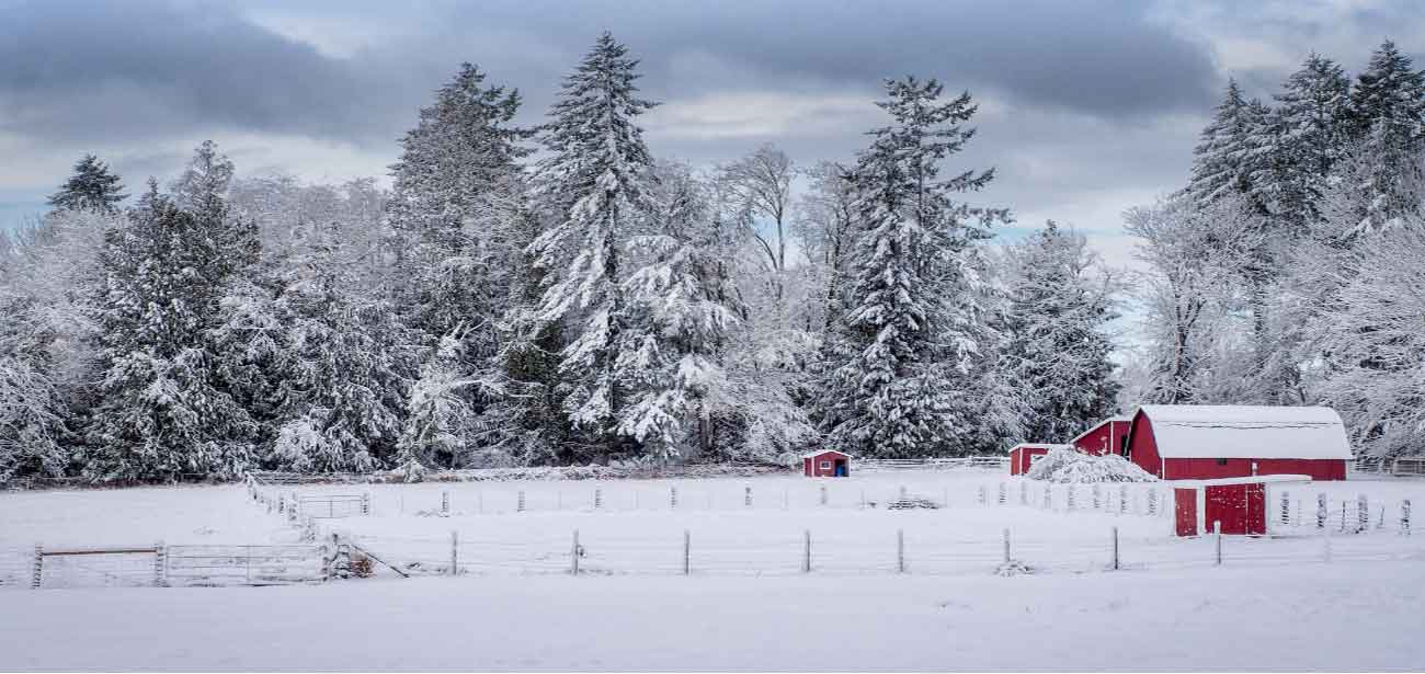 What Makes New Jersey Special in Winter?