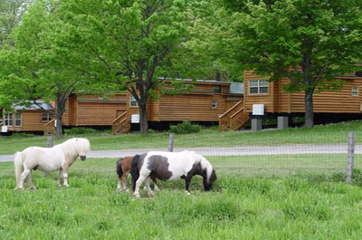 Pleasant Acres Farm Campground